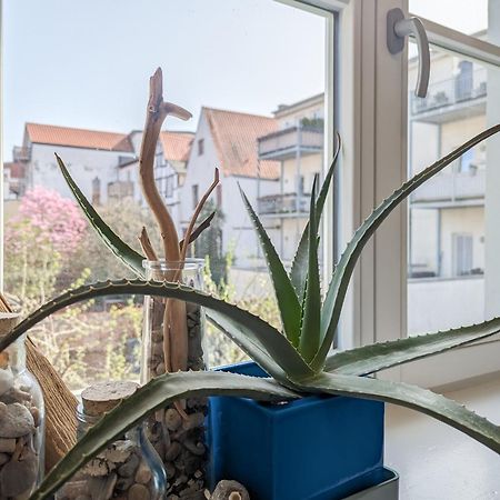 שטראלסונד Strelapartment By Meinke Mitten In Der Altstadt מראה חיצוני תמונה